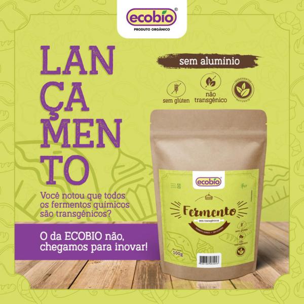 Fermento Não Transgênico E Sem Gluten Ecobio 100G Imagem de Fermento Não Transgênico E Sem Gluten Ecobio 100G