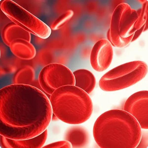 Ferro Quelato e Vitamina C Vegano 400mg 60 Capsulas Ocean Drop Imagem de Ferro Quelato e Vitamina C Vegano 400mg 60 Capsulas Ocean Drop