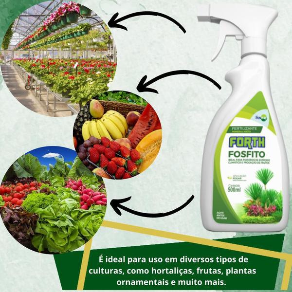 Imagem de Fertilizante Adubo Forth Fosfito 500ml Para Flores Frutos 