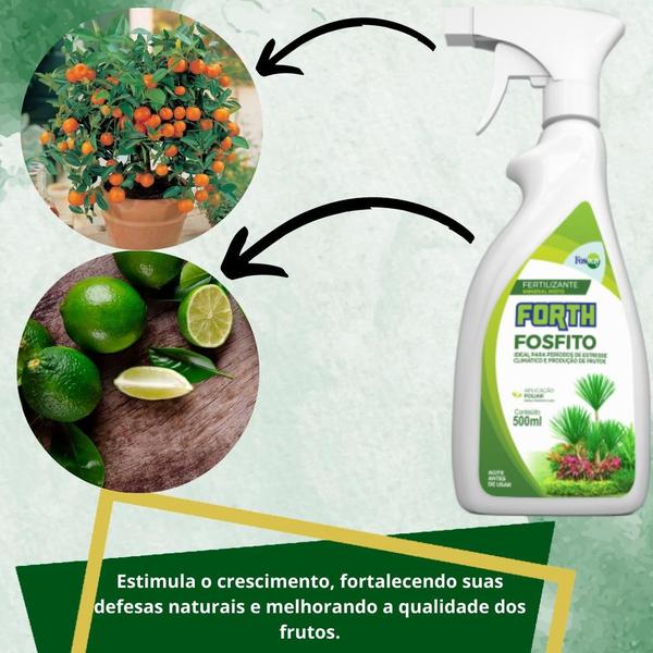 Imagem de Fertilizante Adubo Pronto Uso Forth Fosfito Frutas 500ml  