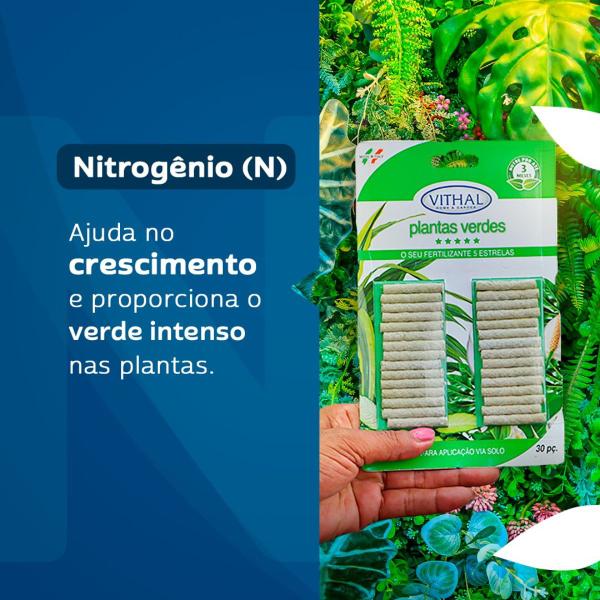 Imagem de Fertilizante Bastonetes Pronto Uso Para Plantas Verdes Vithal - 30 Unidades