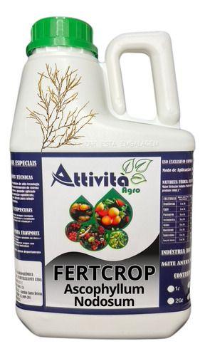 Imagem de Fertilizante Fertcrop  5 Litros -molibdênio Algas E Potássio