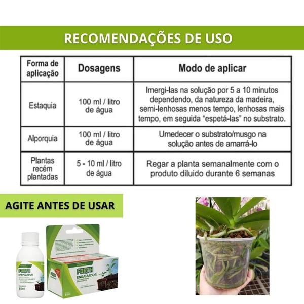 Imagem de Fertilizante Forth Enraizador 60ml - Enraizador para orquideas, cactos suculentas - Estaquia e alporquia