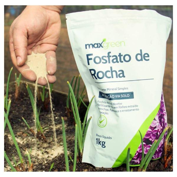 Imagem de Fertilizante Mineral Fosfato de Rocha (1Kg) MAXGREEN