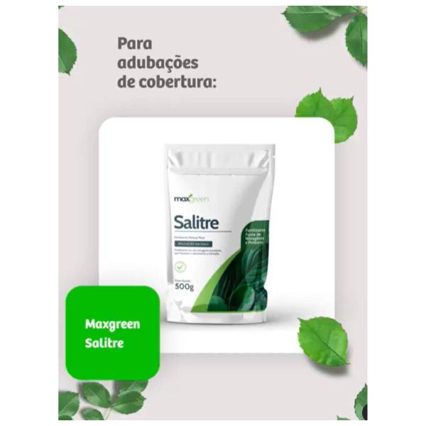 Imagem de Fertilizante Mineral Misto Salitre (500g) MAXGREEN