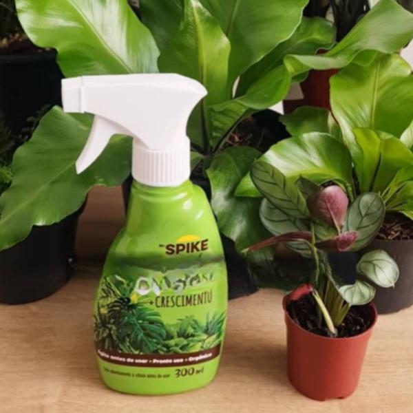 Imagem de Fertilizante Orgânico Grow + Crescimento (330ml) MR.SPIKE