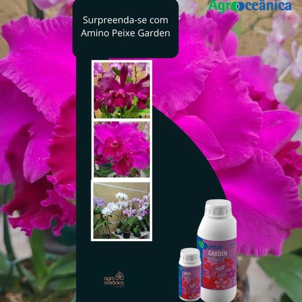 Imagem de Fertilizante Organomineral Para Flores Amino Peixe Garden Agrooceânica - 300ml