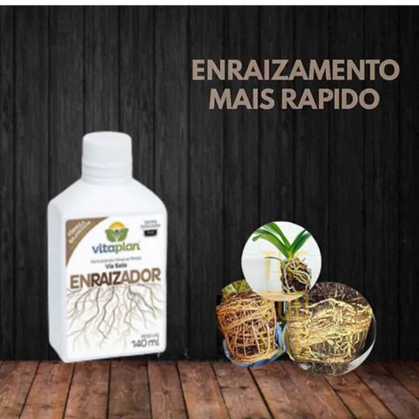 Imagem de Fertilizante Plantas e Folhagens + Enraizador 140ml VITAPLAN