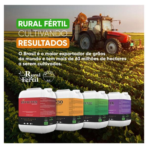 Imagem de Fertilizante rf viva fr 1l