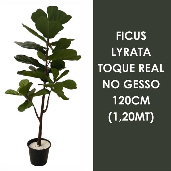 Imagem de Ficus Lyrata  Artificial 120m Planta com Toque Real no Gesso