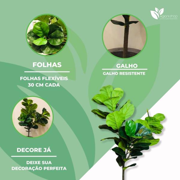 Fícus Lyrata Bambino Verde Artificial Sem Vaso Decoração - Agiani Shop Imagem de Fícus Lyrata Bambino Verde Artificial Sem Vaso Decoração