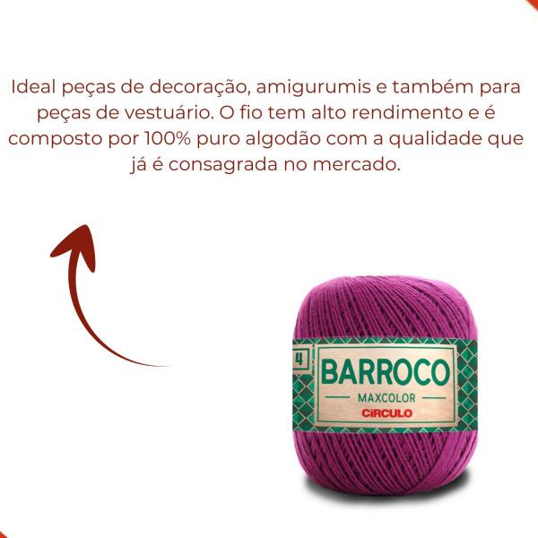 Imagem de Fio Circulo Barroco Maxcolor 4/4 338M Com 200G