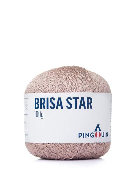 Imagem de Fio Pingouin Brisa Star - 227 Tex - 95% Acr. 5% Polies Metal