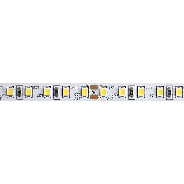 Imagem de Fita de Led Nordecor com 10 metros 120Leds/m 12,5W 24V