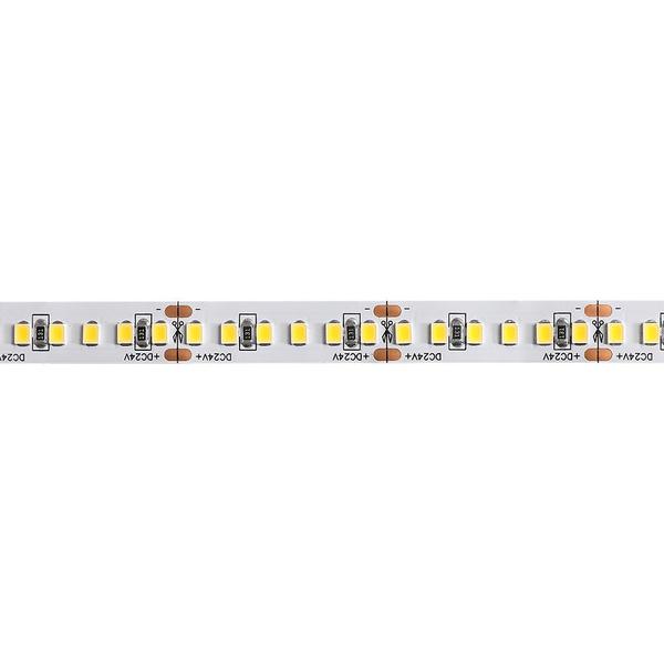 Imagem de Fita de Led Nordecor com 10 metros 156Leds/m 14,4W 24V