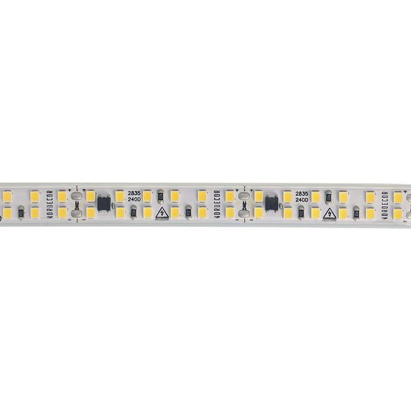 Imagem de Fita de Led Nordecor com 50 metros IP65 240Leds/m 16W 220V