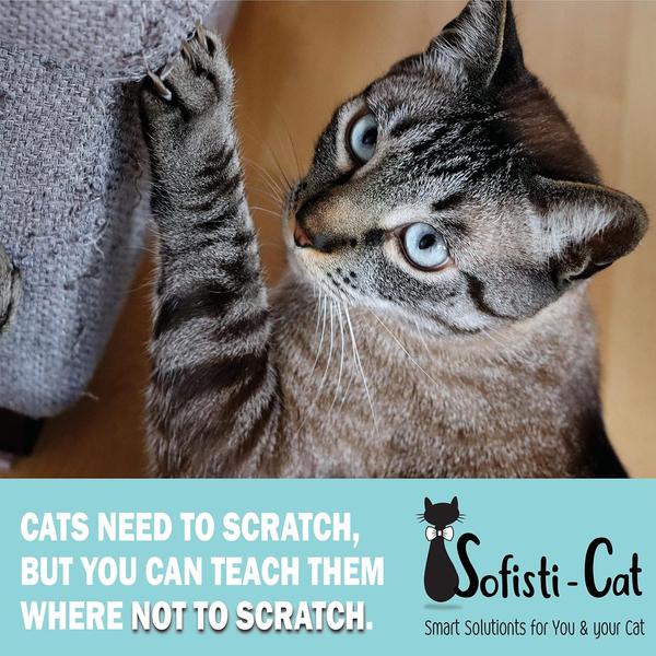 Imagem de Fita de treinamento para gatos Sofisti-Cat Scratch Disterrent Furniture