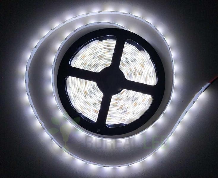 Imagem de Fita LED 2835 Branco Frio 300 Leds 5 Metros 12V IP65 C/ Silicone + Fonte