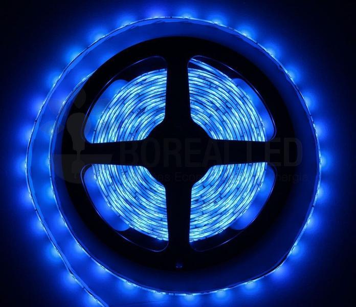 Imagem de Fita LED 5050 Azul 5 Metros 300 Leds 12V IP65 Prova D'agua