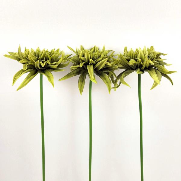 Imagem de Flor Dalia Vintage Verde Grande 56X17Cm Flor Artificial 3Pc