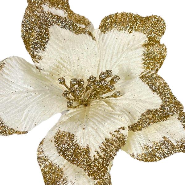 Flor de Natal Poinsétia Veludo Branco com Glitter Dourado Tok da Casa Imagem de Flor de Natal Poinsétia Veludo Branco com Glitter Dourado Tok da Casa