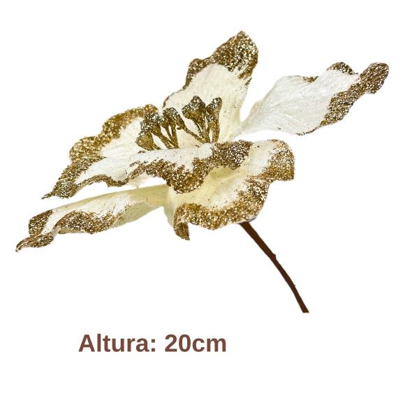 Flor de Natal Poinsétia Veludo Branco com Glitter Dourado Tok da Casa Imagem de Flor de Natal Poinsétia Veludo Branco com Glitter Dourado Tok da Casa