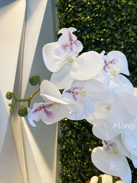 Imagem de Flor De Orquídea Artificial Silicone Haste Toque Real 