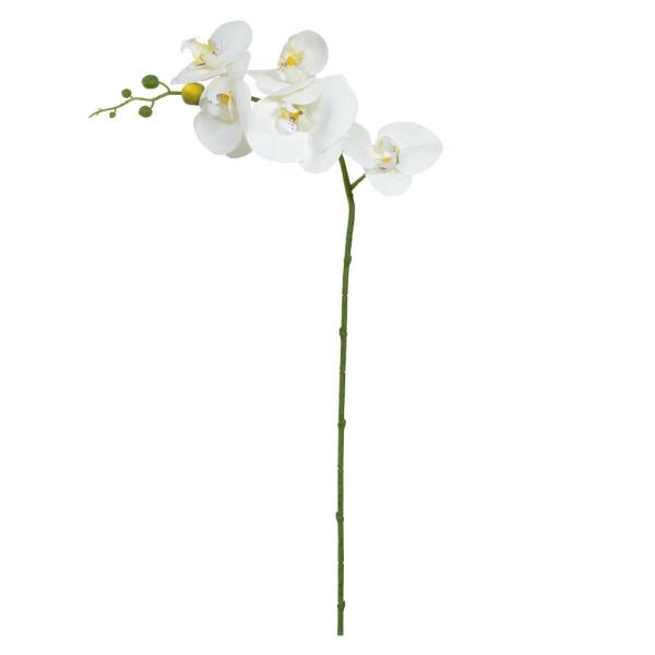 Flor orquidea phalaenopsis real toque branco amarelo 65cm - Flor Arte Imagem de Flor orquidea phalaenopsis real toque branco amarelo 65cm