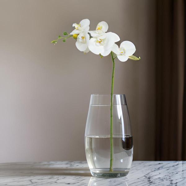 Flor orquidea phalaenopsis real toque branco amarelo 65cm - Flor Arte Imagem de Flor orquidea phalaenopsis real toque branco amarelo 65cm