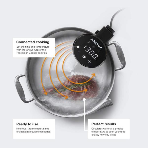 Imagem de Fogão de precisão Sous Vide Anova Culinary 2.0 WiFi 1000W