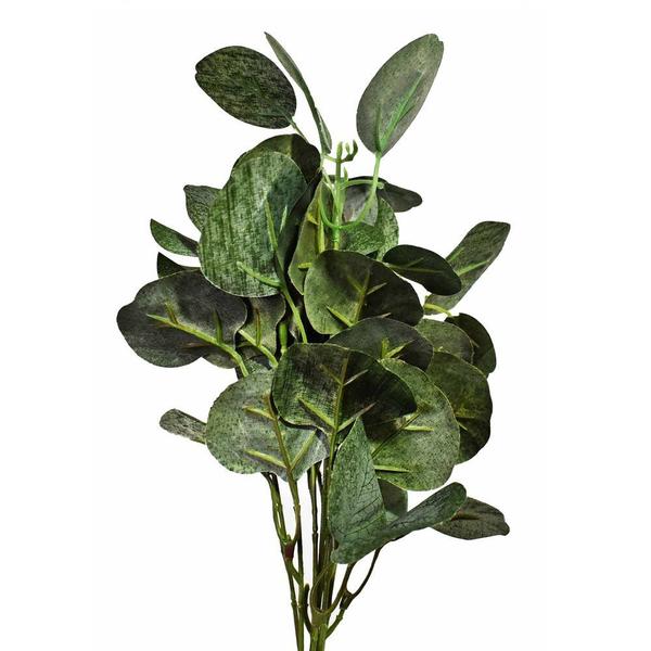 Imagem de Folha de Eucalipto Planta Artificial Plástico Flor Are
