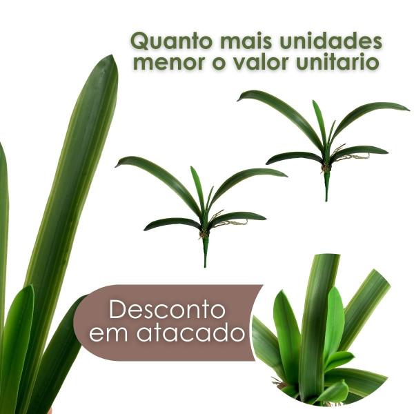 Imagem de Folha de Orquídea Artificial Premium Haste Longa de Silicone Para Decoração de Arranjos - DE3224