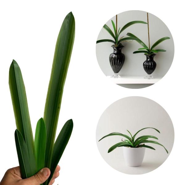 Imagem de Folha de Orquídea Artificial Premium Haste Longa de Silicone Para Decoração de Arranjos - DE3224