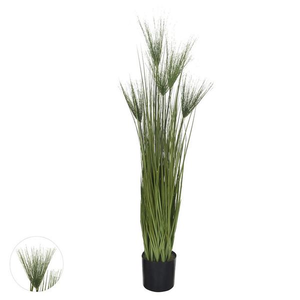 Folhagem Capim Com Papiro Com Pote Verde 1,25m - D. E. A. D. A. Imagem de Folhagem Capim Com Papiro Com Pote Verde 1,25m