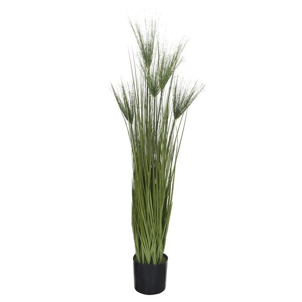 Folhagem Capim Com Papiro Com Pote Verde 1,25m - D. E. A. D. A. Imagem de Folhagem Capim Com Papiro Com Pote Verde 1,25m
