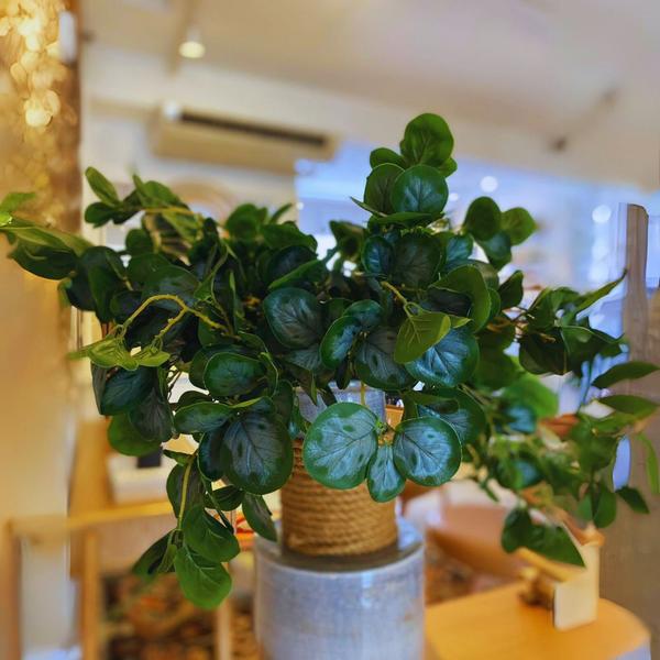 Folhagem Galho Verde para Decoração 50cm Decoromax Imagem de Folhagem Galho Verde para Decoração 50cm Decoromax