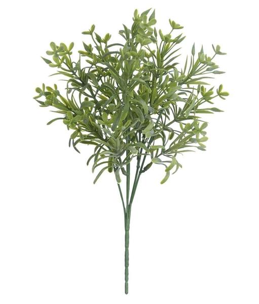 Imagem de FOLHAGEM PODOCARPUS X15 VERDE 30cm