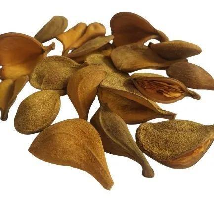 Folhas Secas Desidratadas Pereirinha Decoração Enfeite - Stop Flores Imagem de Folhas Secas Desidratadas Pereirinha Decoração Enfeite