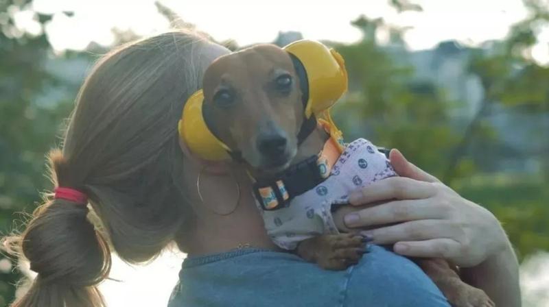 Imagem de Fone Protetor De Ouvido Para Cachorro Petfone Conforpet Nº02