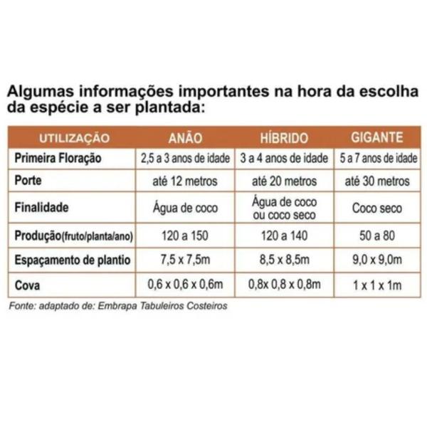 Imagem de Forth coqueiros saco 10 kg npk+9