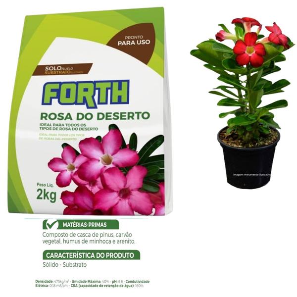 Forth substrato Rosa do Deserto 2kg - Forth Jardim Imagem de Forth substrato Rosa do Deserto 2kg