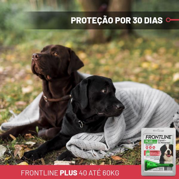 Imagem de Frontline Plus GG Cao 40 a 60 kg  4,02 Ml - 1 Dose