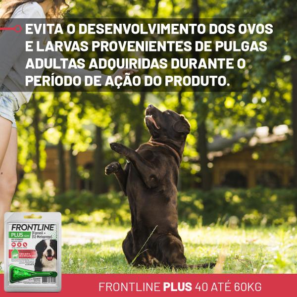 Imagem de Frontline Plus GG Cao 40 a 60 kg  4,02 Ml - 1 Dose