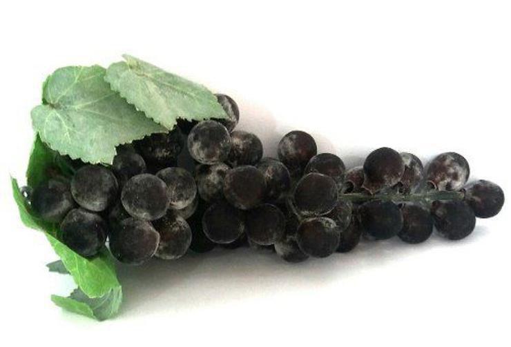 Fruta Artificial 10 Frutas Decoração Arranjo De Mesa - Winmax Imagem de Fruta Artificial 10 Frutas Decoração Arranjo De Mesa