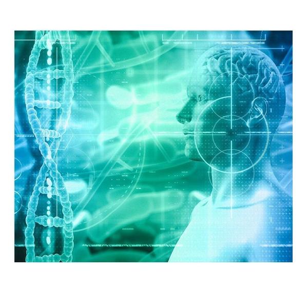 Fundo Fotográfico Tecido Sublimado Gigante 3D Medicina - Felicitá Imagem de Fundo Fotográfico Tecido Sublimado Gigante 3D Medicina