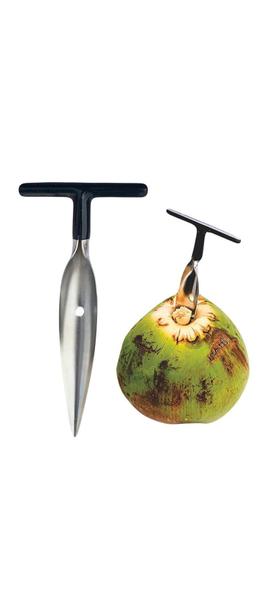 Furador de Coco Inox - Abertura Fácil e Higiênica - Linha Home Imagem de Furador de Coco Inox - Abertura Fácil e Higiênica
