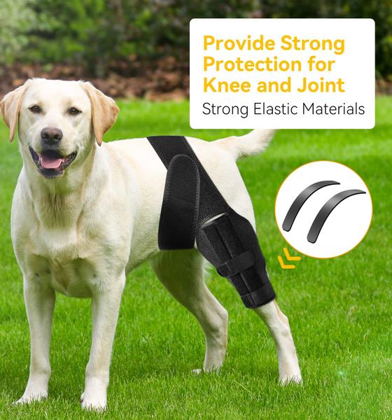 Imagem de Fusível sonoro Dog Knee Brace para lesão do ligamento cruzado ACL