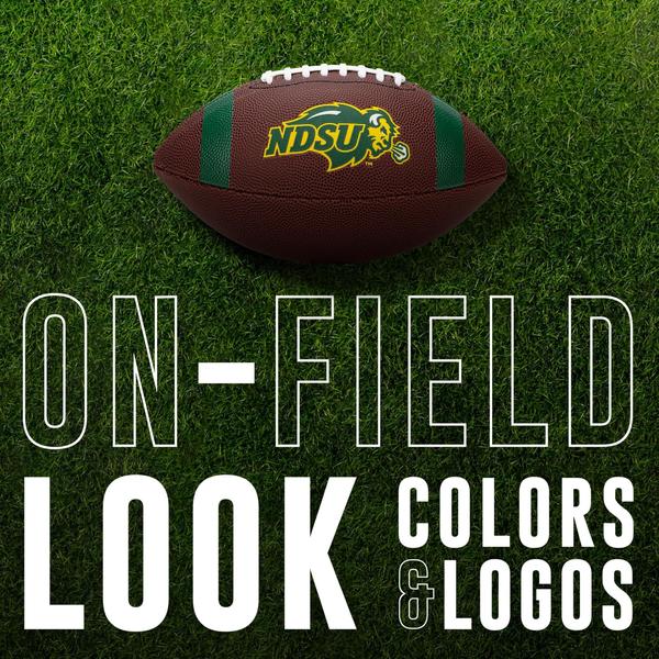 Imagem de Futebol Franklin Sports North Dakota State Bison Kids