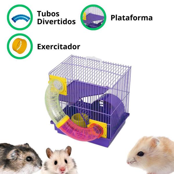 Imagem de Gaiola Hamster Pop