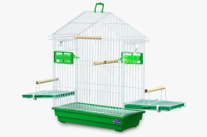 Gaiola para Calopsita e Pássaros Mansos com Teto Aramado Completa Verde - GAIOLAS BRAGANÇA Imagem de Gaiola para Calopsita e Pássaros Mansos com Teto Aramado Completa Verde